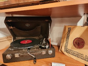 �����������